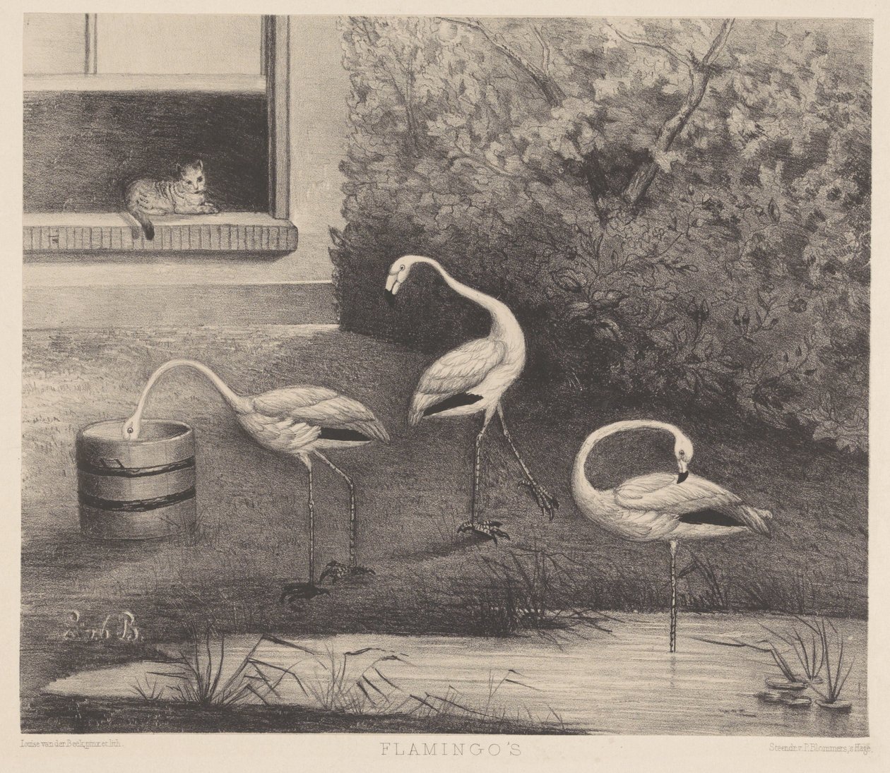 Tre flamingos och en katt av Louise Marie Françoise van der Beek