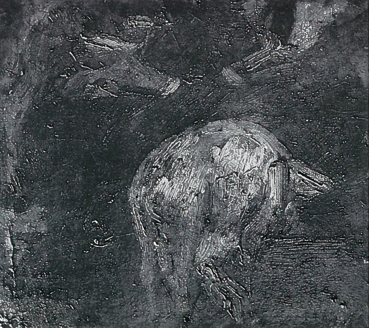  Schwein Studien av Lovis Corinth
