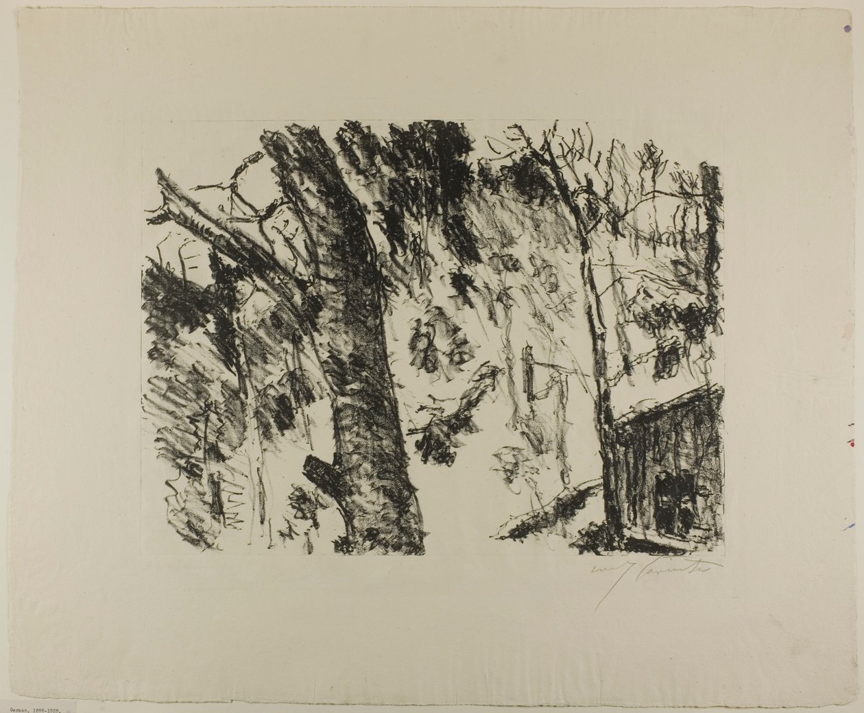 Bokskogar, från tidig vår i bergen av Lovis Corinth
