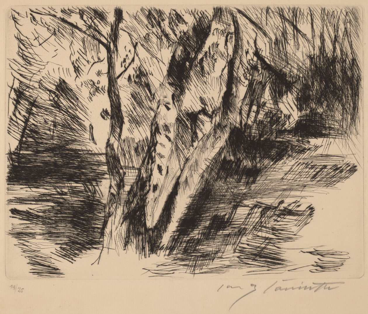 Björkar i Tiergarten av Lovis Corinth