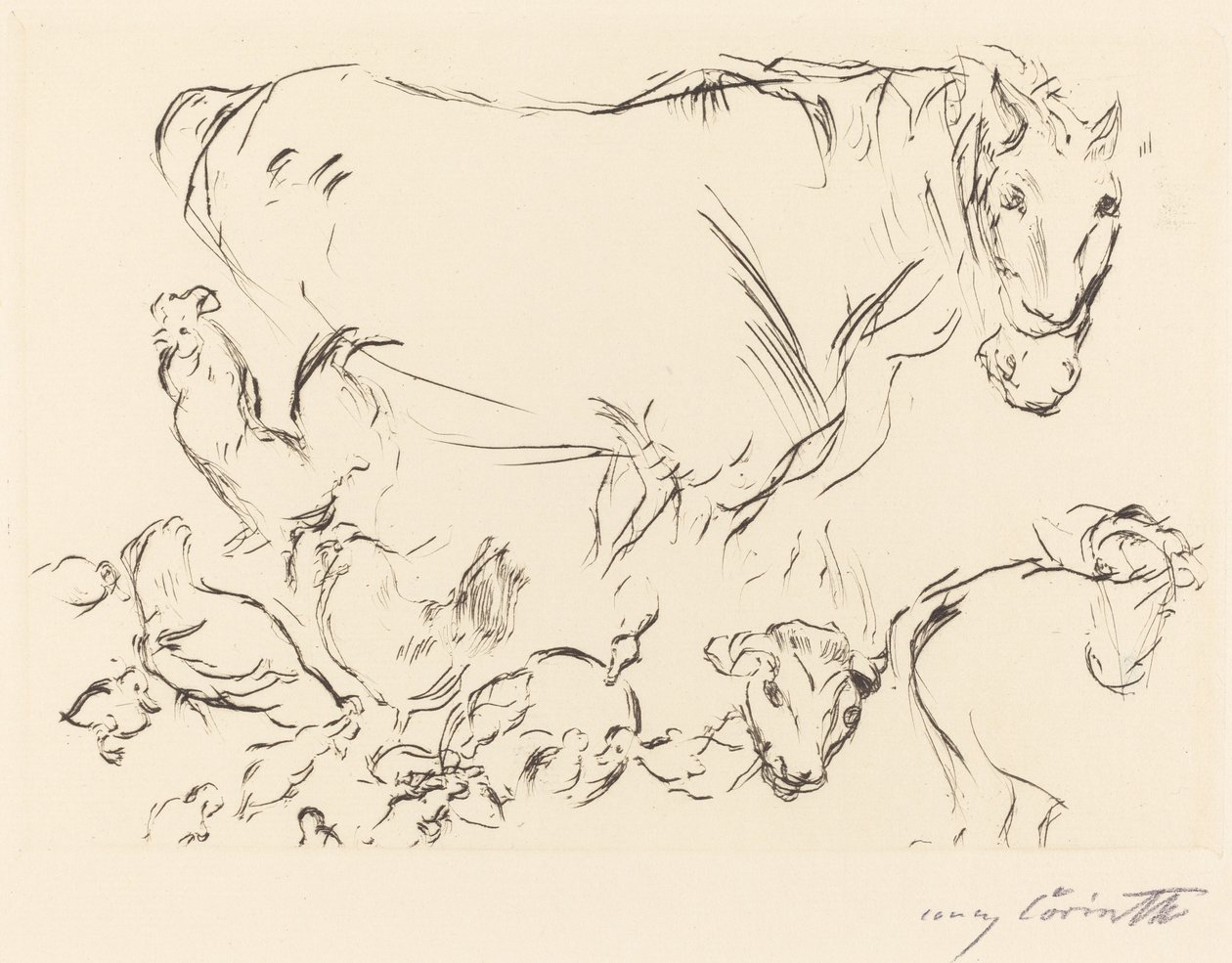 Olika djurstudier av Lovis Corinth
