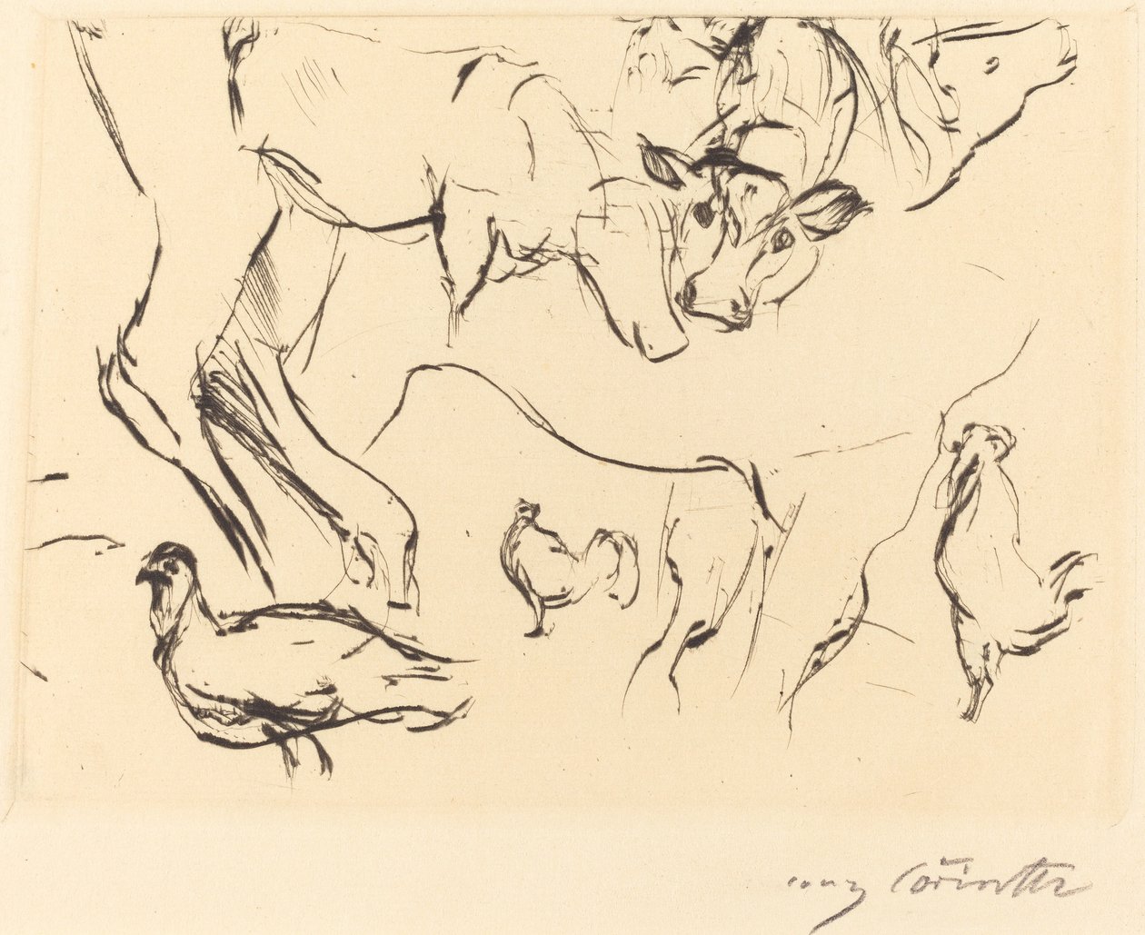 Olika djurstudier Djurstudier, 1917. av Lovis Corinth