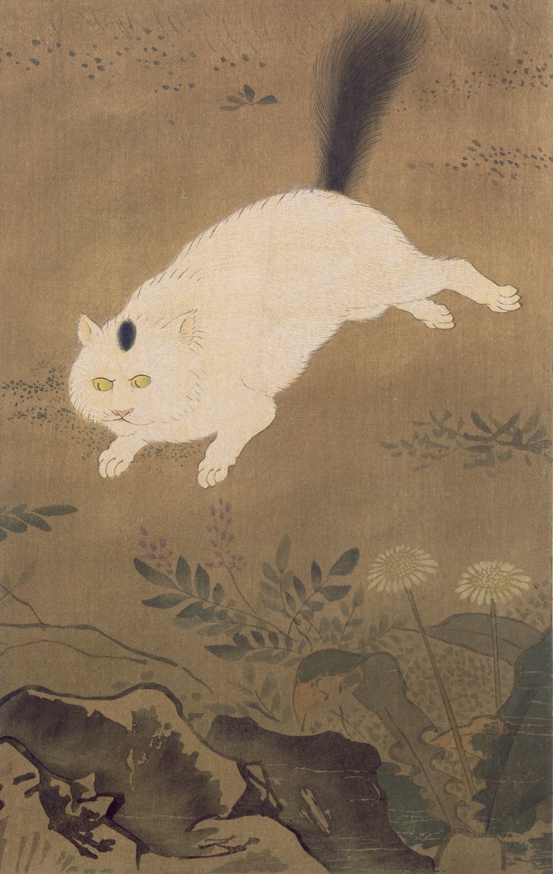 A White Cat, illustration från The Kokka magazine, publicerad i Japan, 1896-7 av Lu Ji
