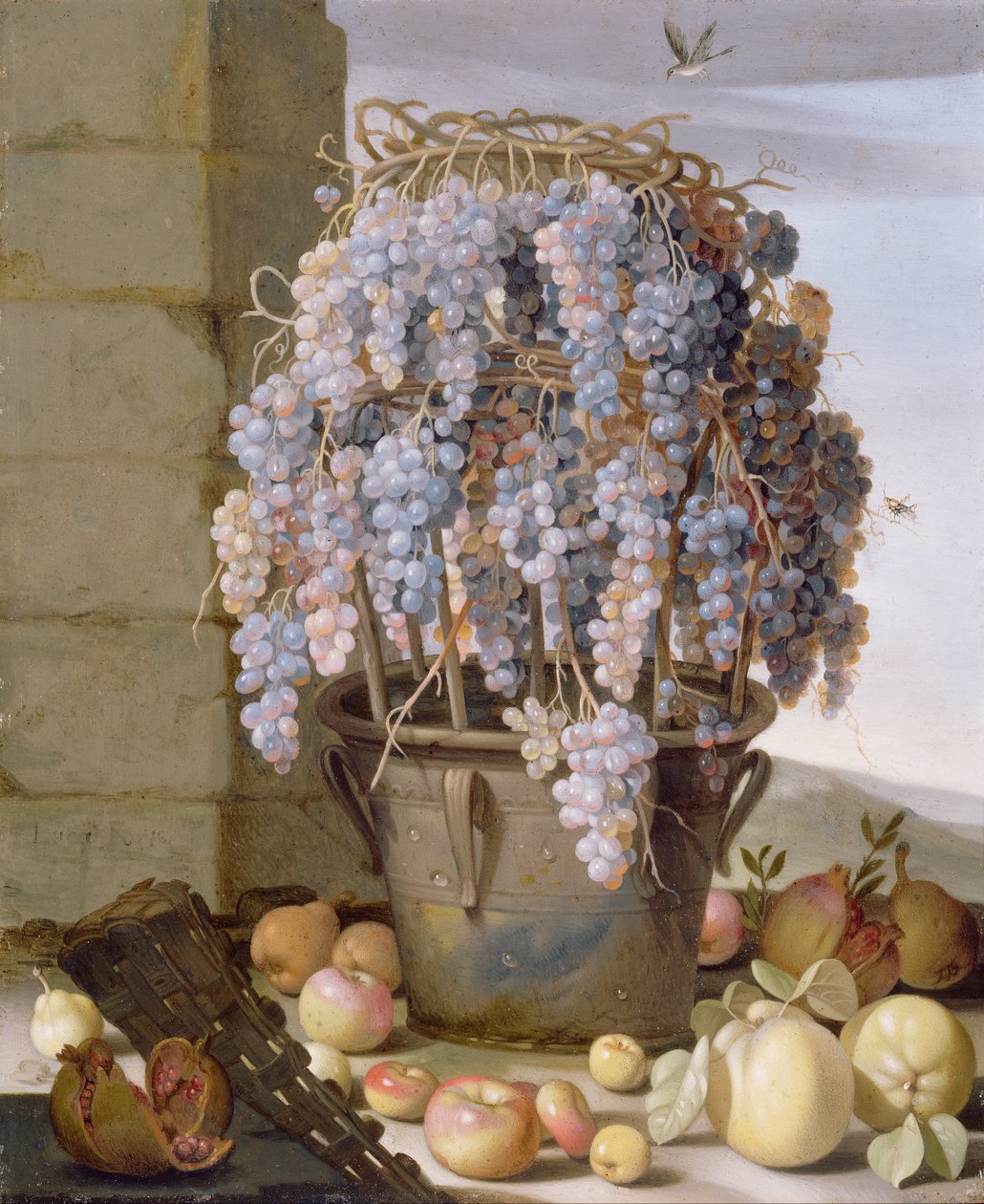 Still Life with Grapes and other Fruit av Luca Forte