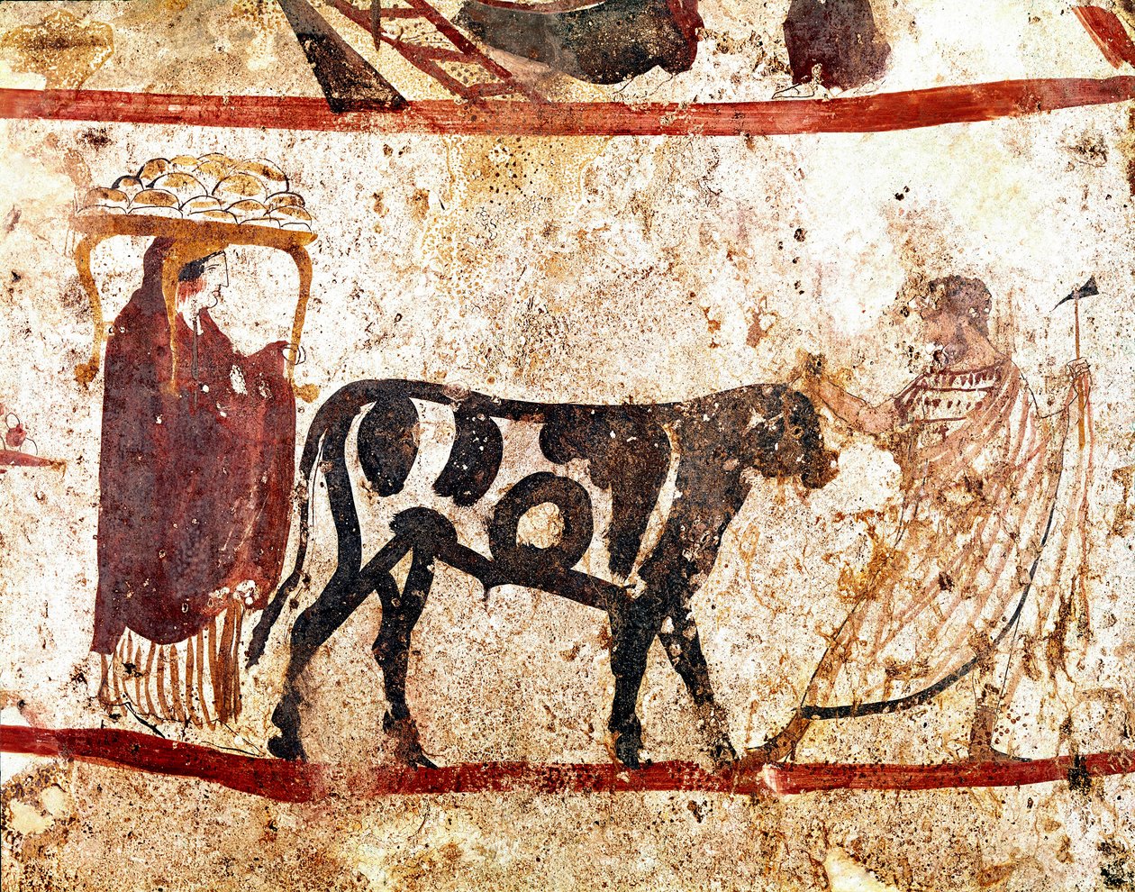 En tjur leder på altaret av offret Lucanian fresk från 400-talet f.Kr., från nekropolen Andriuolo i Paestum, Italien. Museo nazionale archeologico, Paestum av Lucanian School