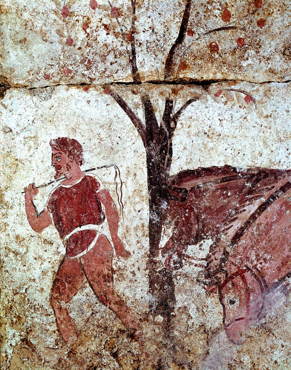 En bonde som drar två hästar Lucanian fresk från 300-talet f.Kr., från nekropolen i Paestum, Italien. Museo nazionale archeologico, Paestum av Lucanian School