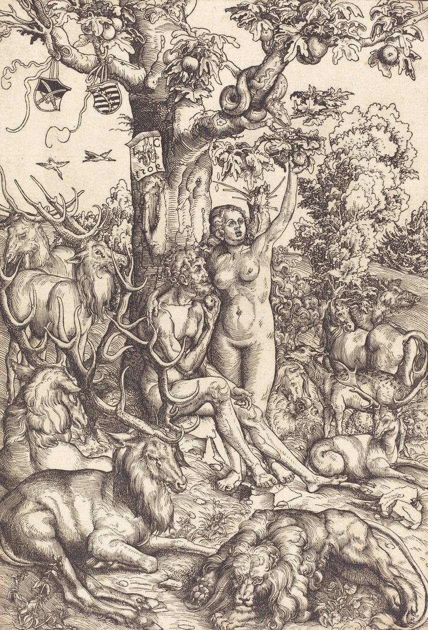 Adam und Eva (National Gallery of Art) av Lucas Cranach the Elder