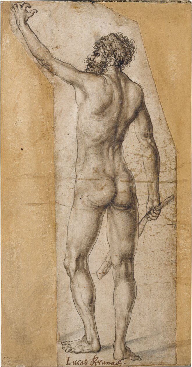 Ryggnaken av en stående man av Lucas Cranach the Elder