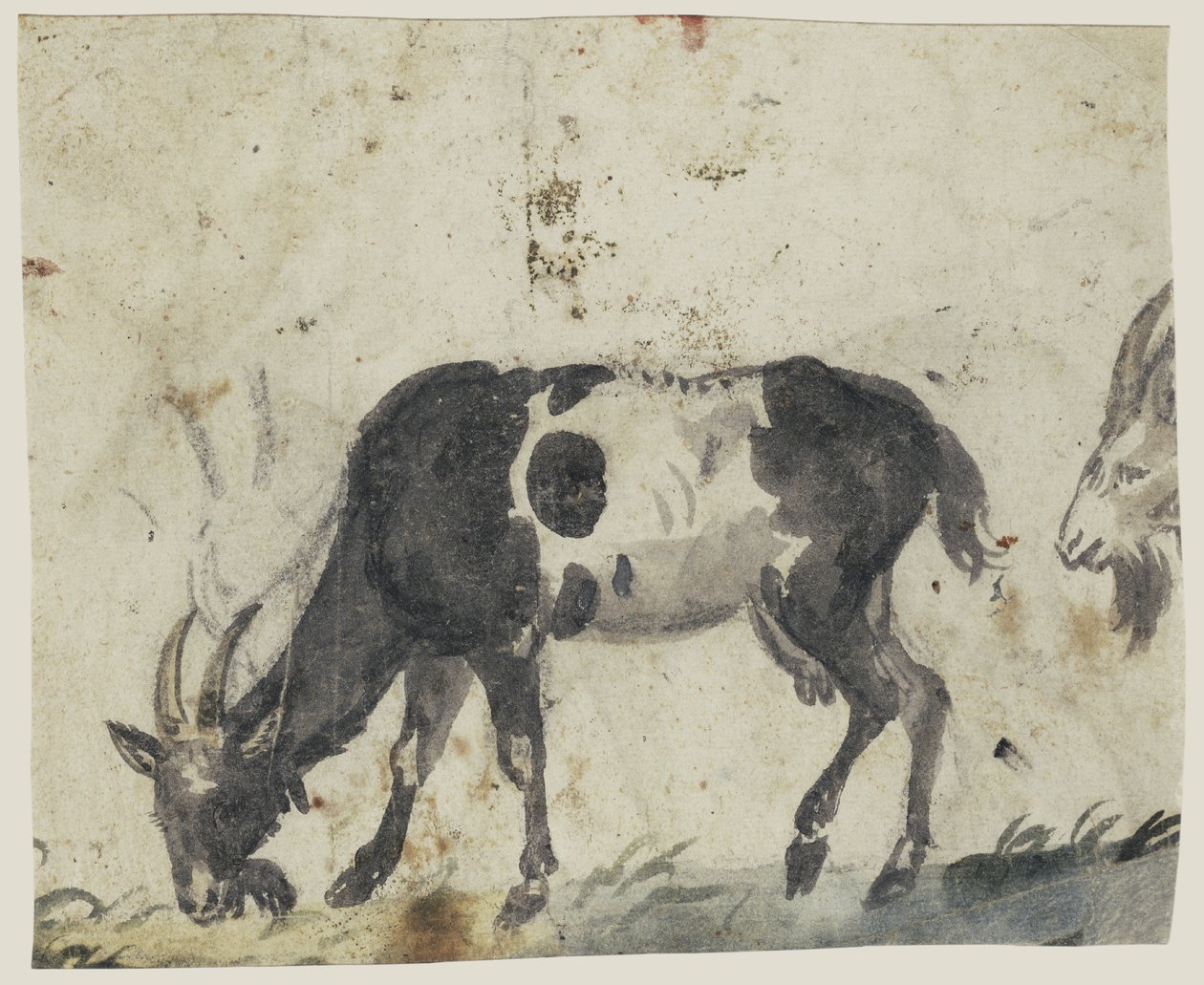 Studier med getter av Lucas Cranach the Elder