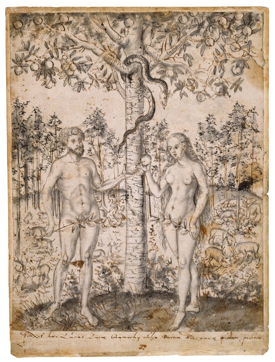 The Fall of Man, efter 1549 (penna, svart & brunt bläck, med svart tvätt på lagt papper) av Lucas Cranach the Elder