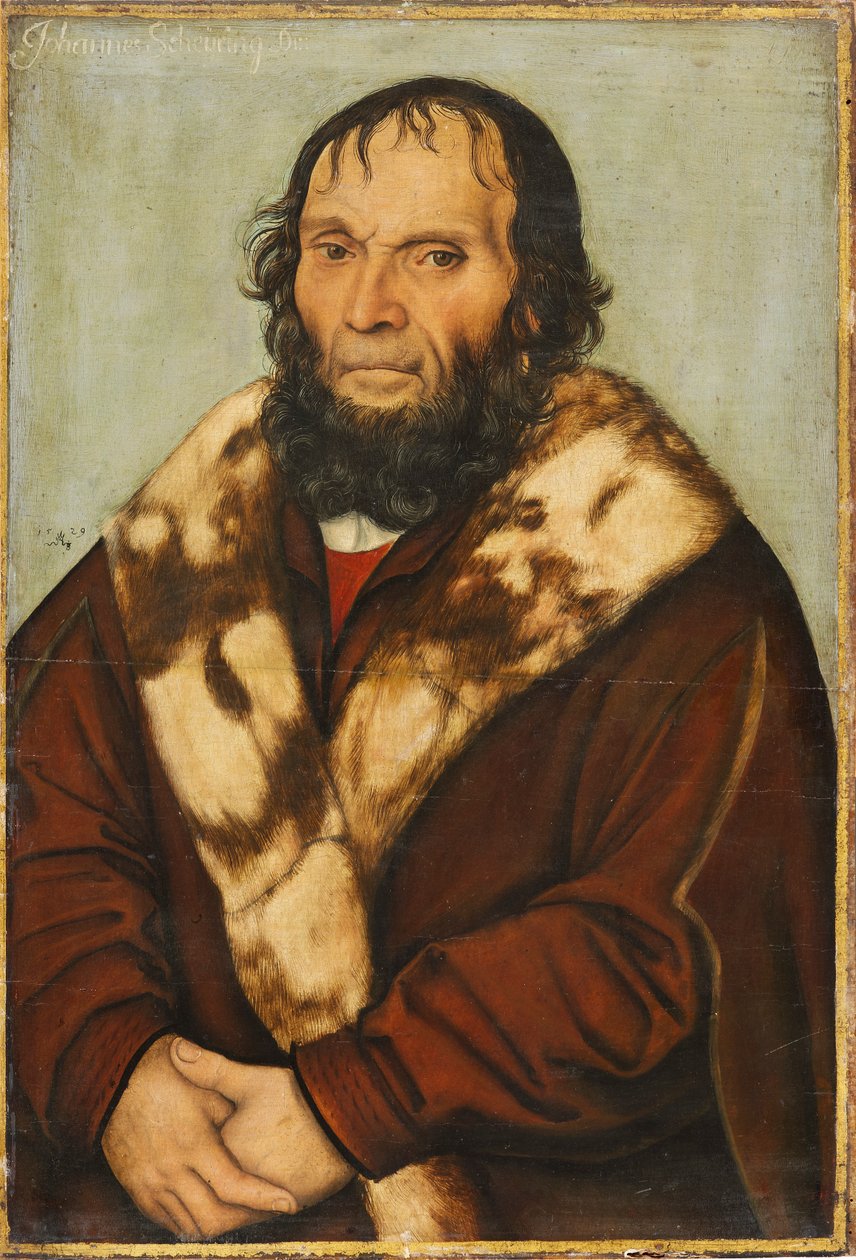 Porträt des Magdeburger Theologen Dr. Johannes Scheyring av Lucas Cranach the Elder