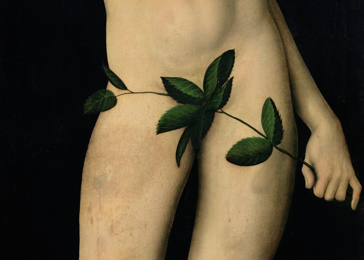 Adam, 1528 olja på panel, detalj av 9628 av Lucas Cranach the Elder