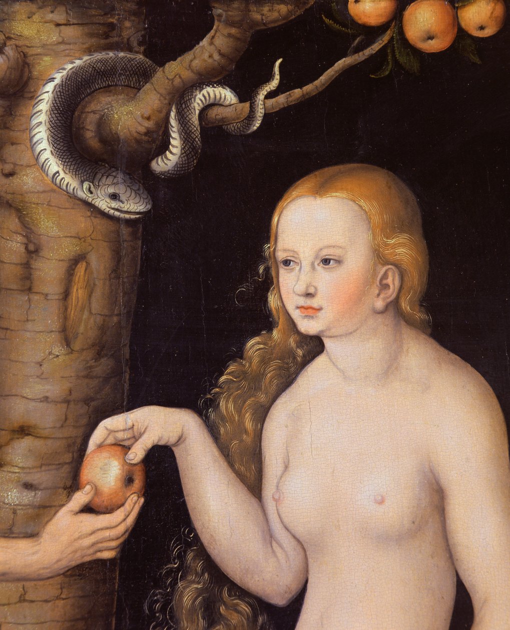 Eva erbjuder äpplet till Adam i Edens lustgård och ormen, ca 1520-25 olja på trä detalj av 407328 av Lucas Cranach the Elder