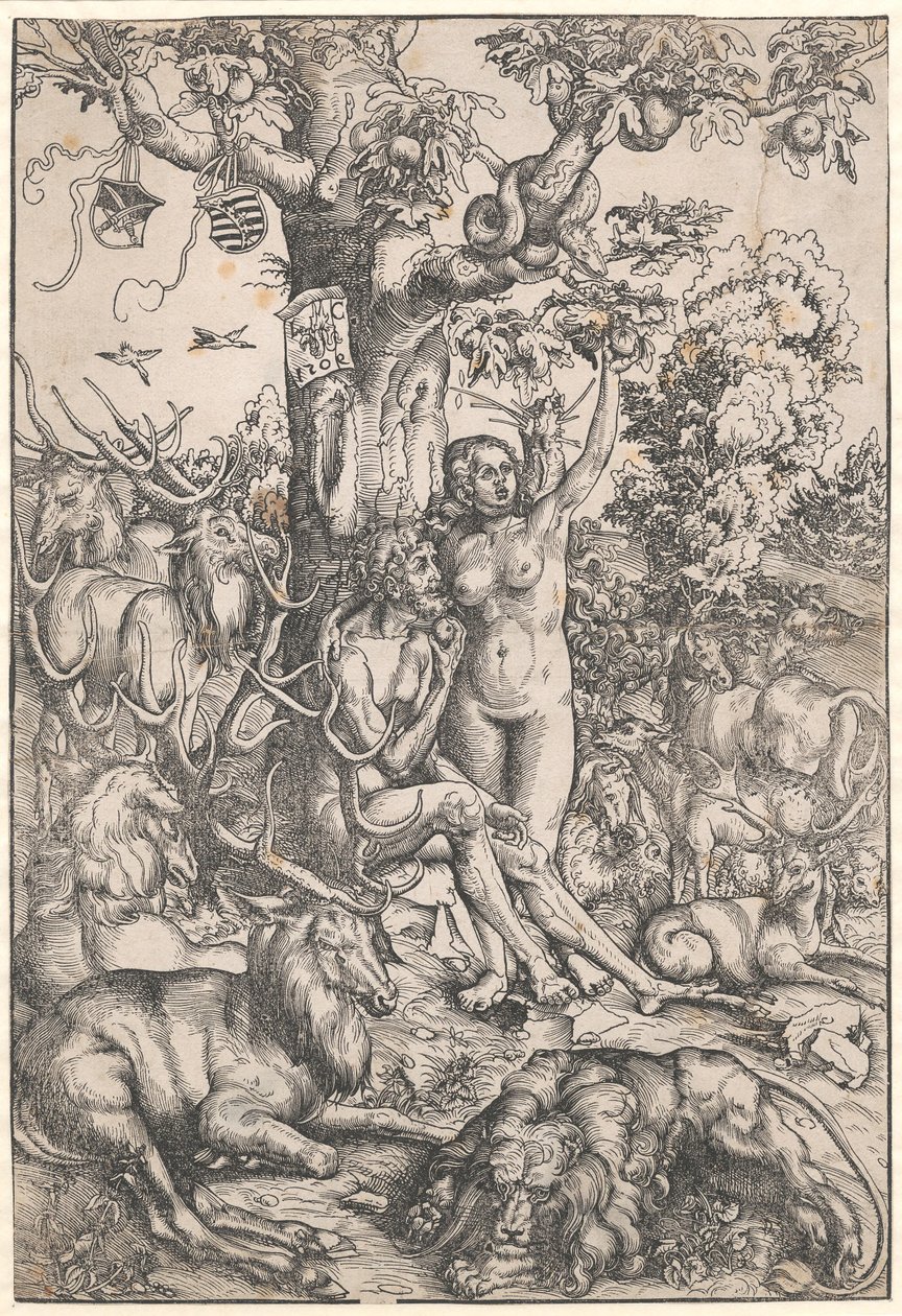 Människans fall av Lucas Cranach d.Æ.