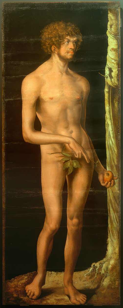 Adam av Lucas Cranach the Elder