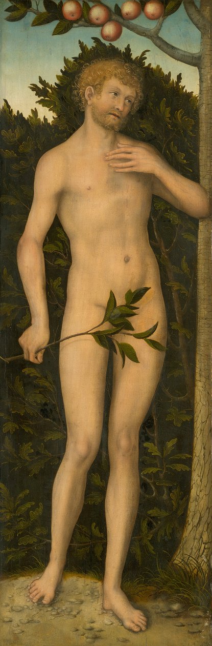 Adam, 153337. av Lucas Cranach the Elder