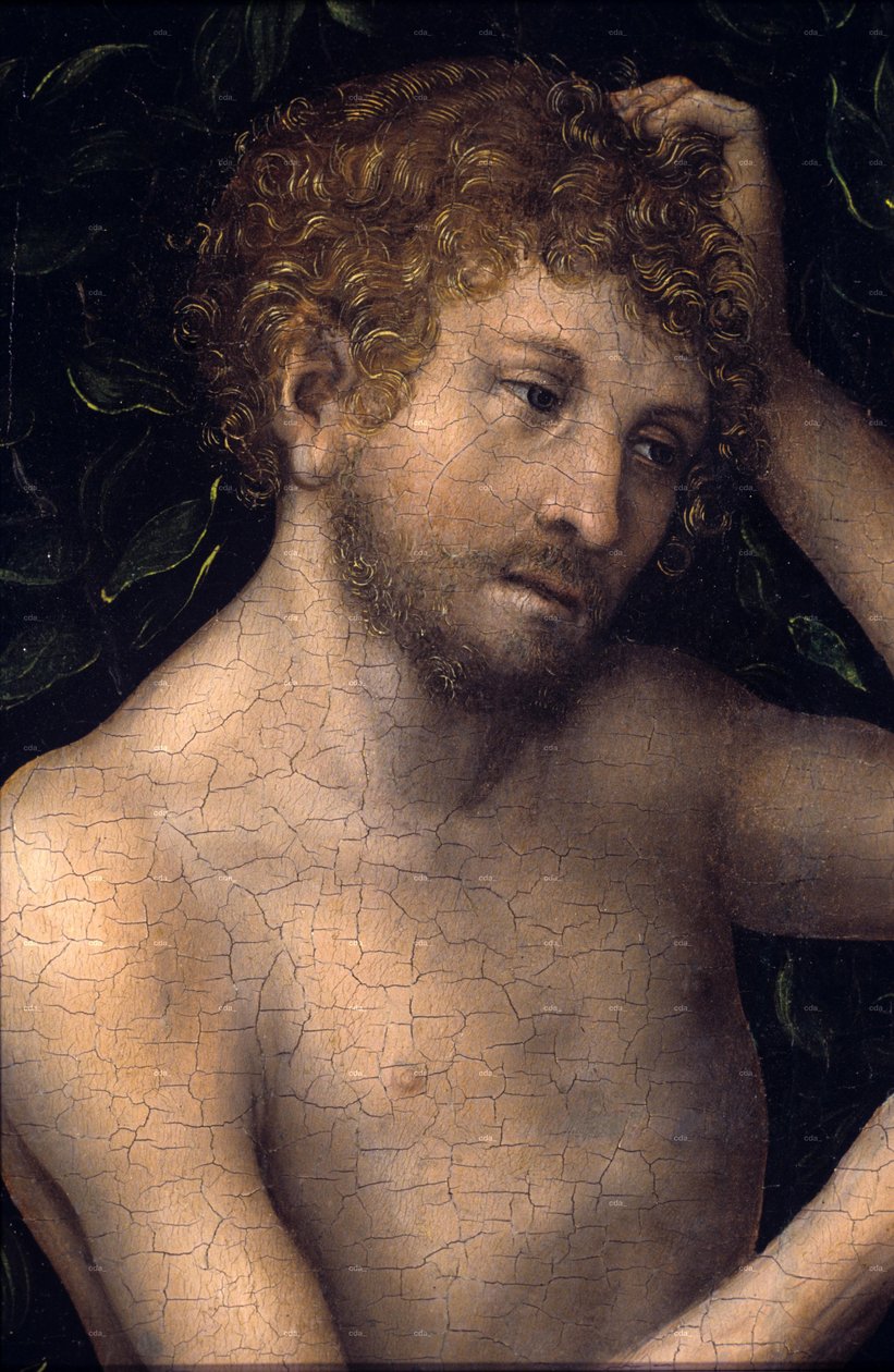 Adam och Eva








































 detalj av Lucas Cranach the Elder