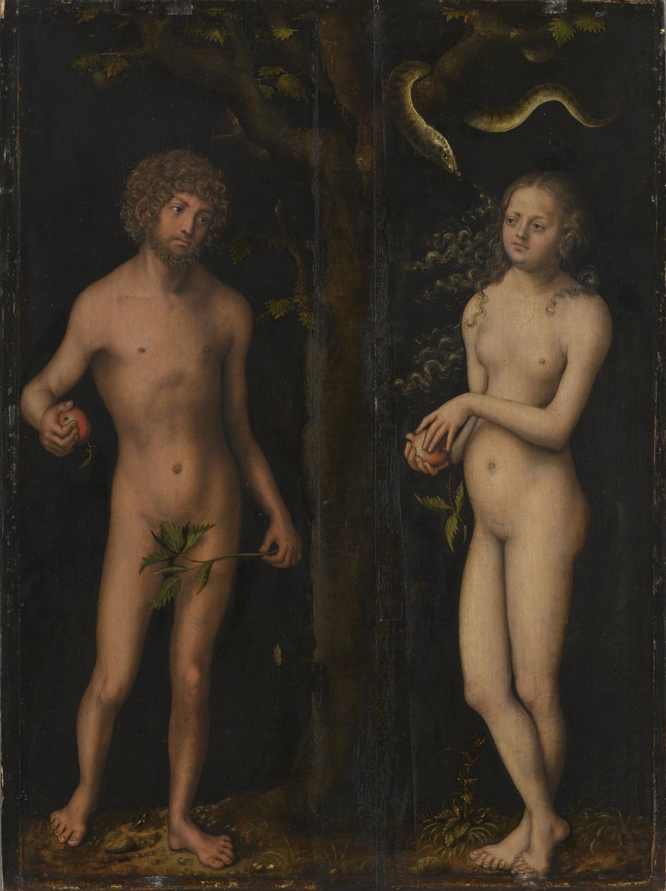 Tyska: Adam und Eva Adam och Eva av Lucas Cranach the Elder