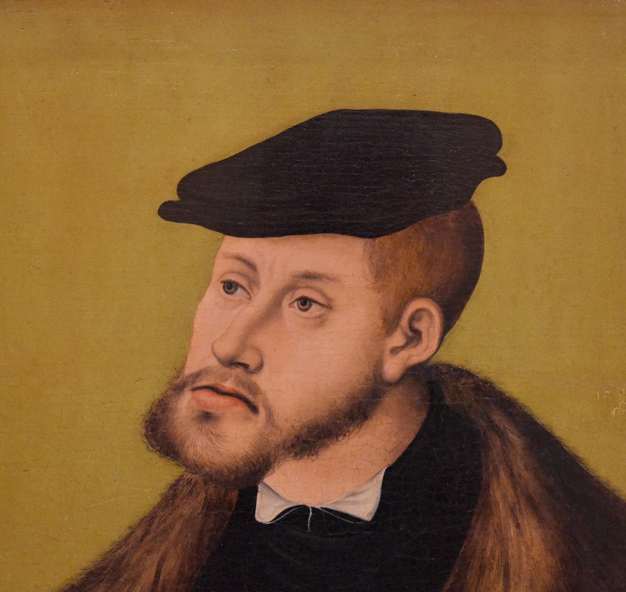 Tyska: Bildnis Kaiser Karls V. Porträtt av kejsar Karl V av Lucas Cranach the Elder