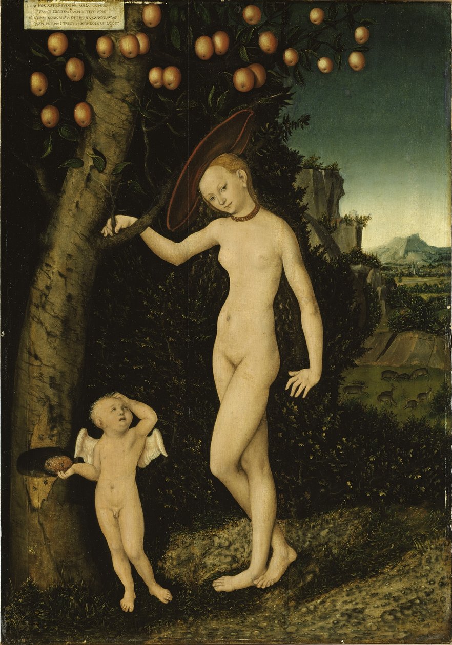 Tyska: Venus mit Amor als Honigdieb Venus och Amor som honungstjuv av Lucas Cranach the Elder
