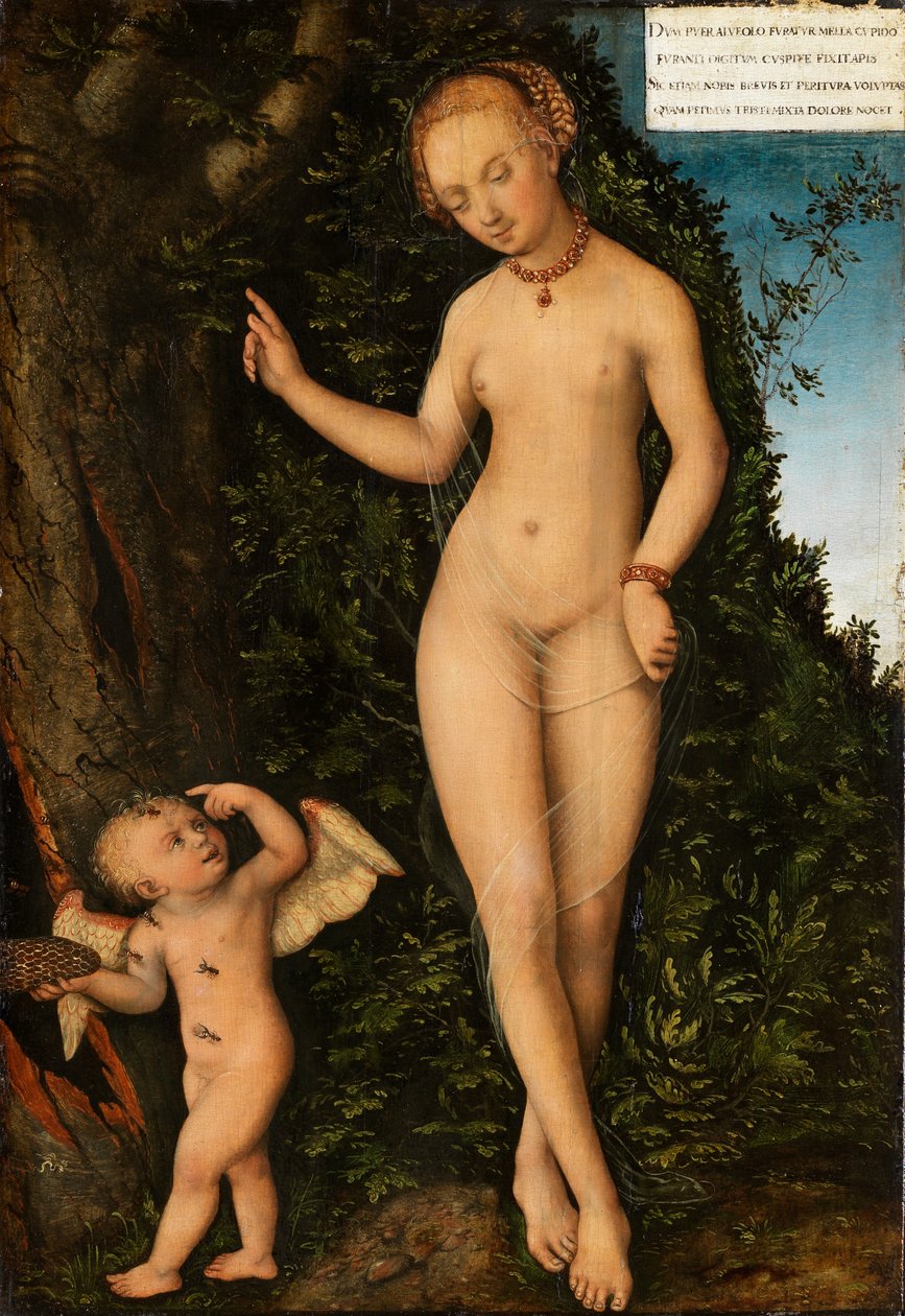 Tyska: Venus mit Amor als Honigdieb Venus med Amor som honungstjuv av Lucas Cranach the Elder