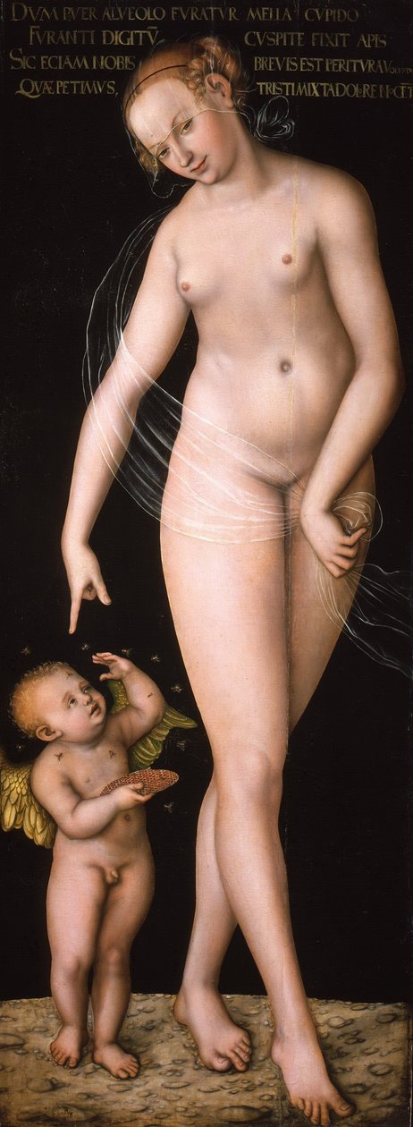Tyska: Venus und Amor als Honigdieb Venus med Amor som stjäl honung av Lucas Cranach the Elder