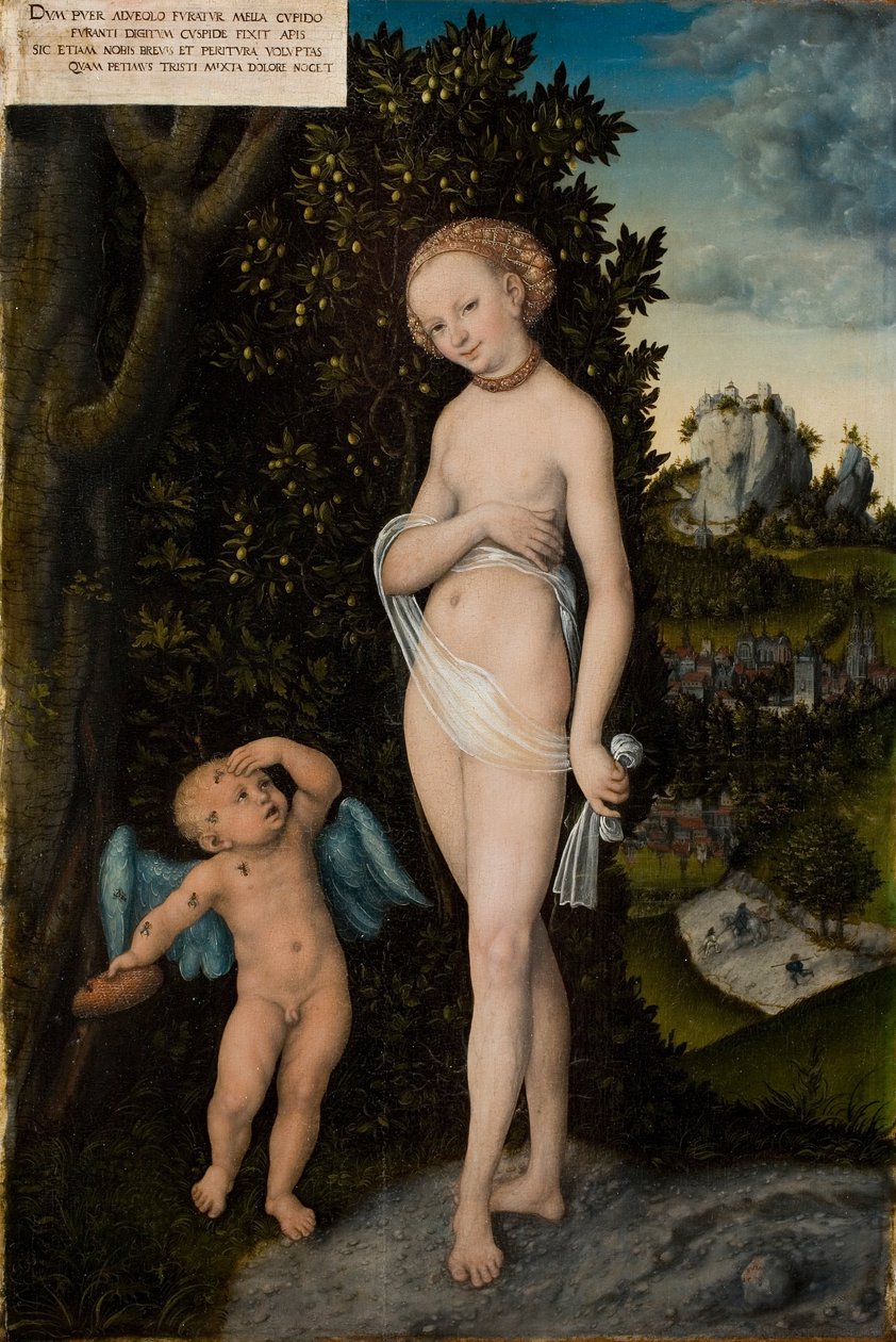 Venus och Amor, honungstjuven av Lucas Cranach the Elder