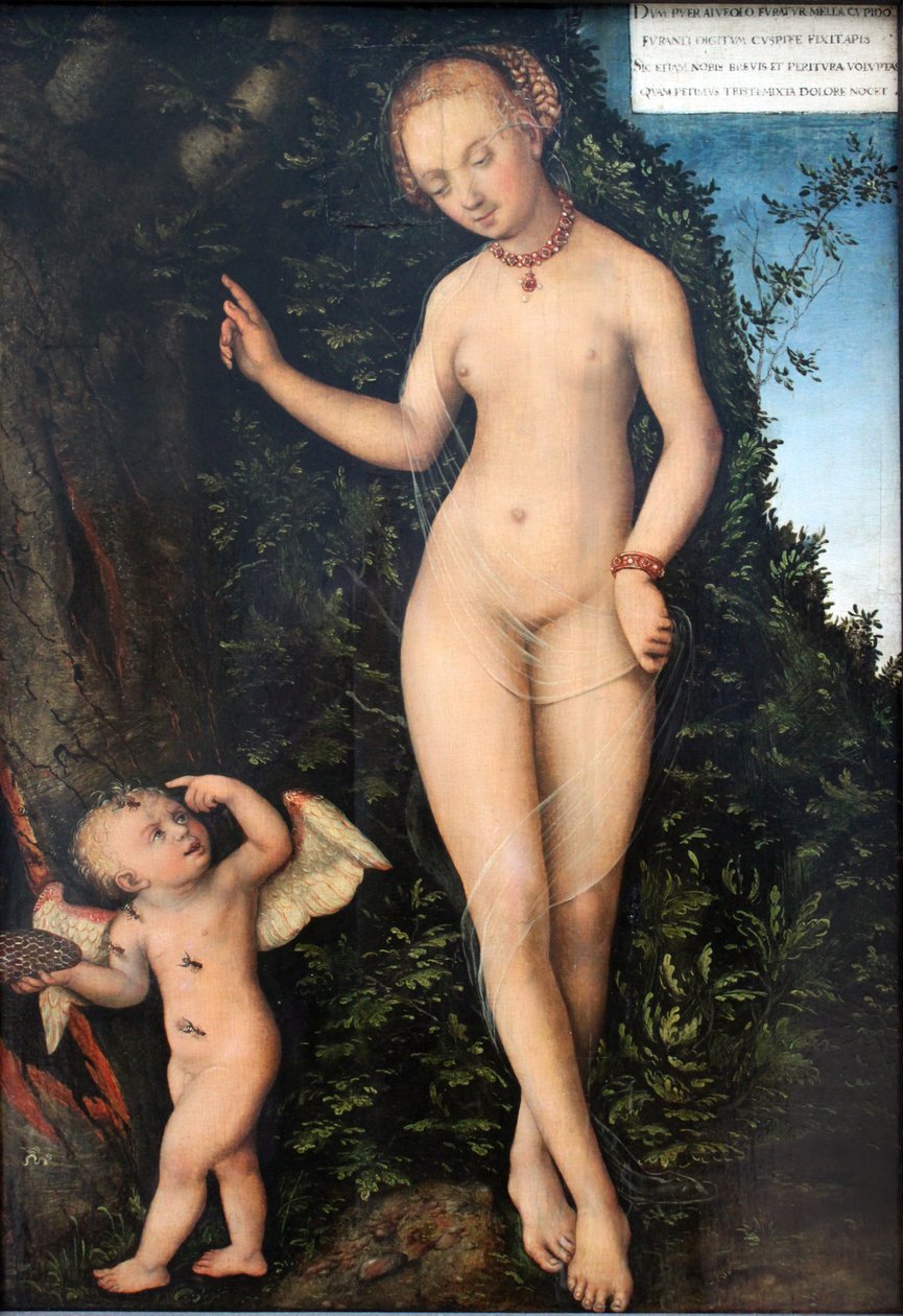 Venus och Amor, honungstjuven av Lucas Cranach the Elder
