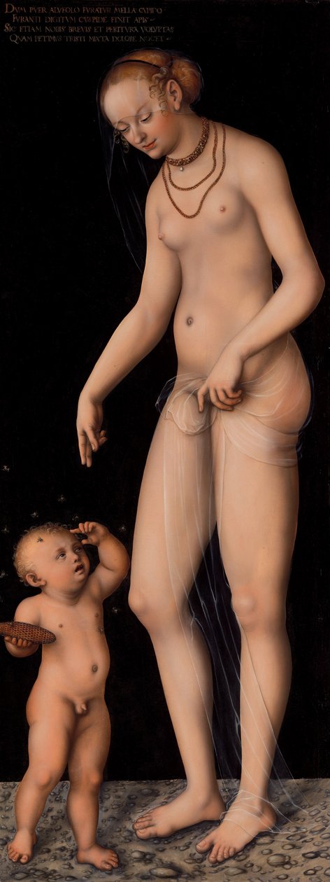 Venus med Amor som honungstjuv av Lucas Cranach the Elder