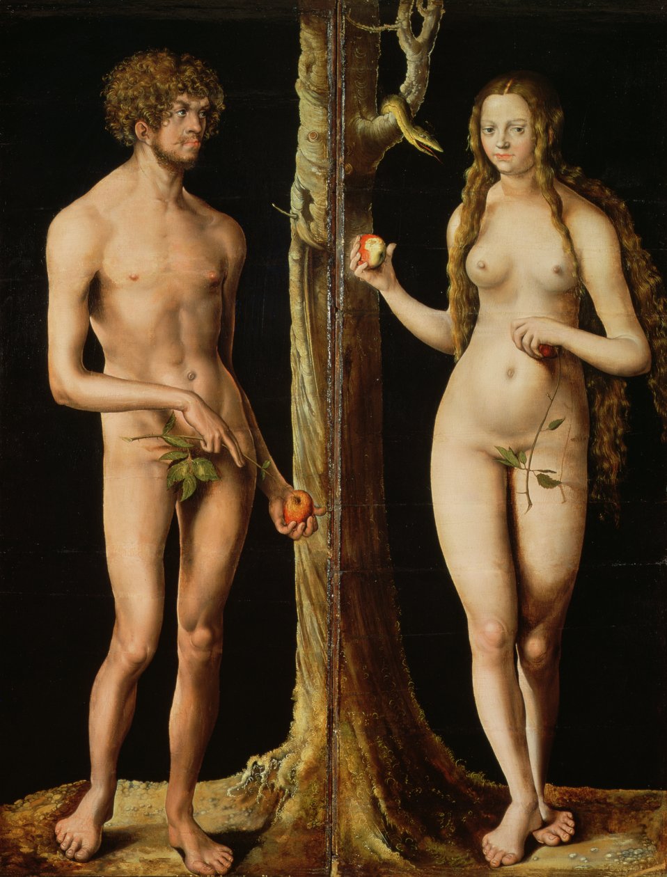 Adam och Eva, ca 1508-10 (olja och tempera på kalk) (se även 159264) av Lucas the Elder Cranach