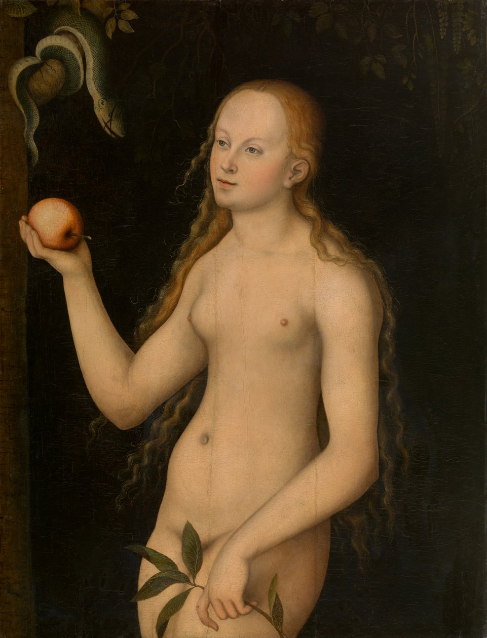  av Lucas the Elder Cranach