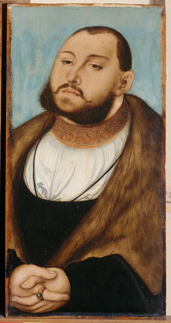 Johannes Fredrik I, kurfurst av Sachsen (1503-1554), av Cranach, Lucas, den äldre (1472-1553). Olja på trä av Lucas the Elder Cranach