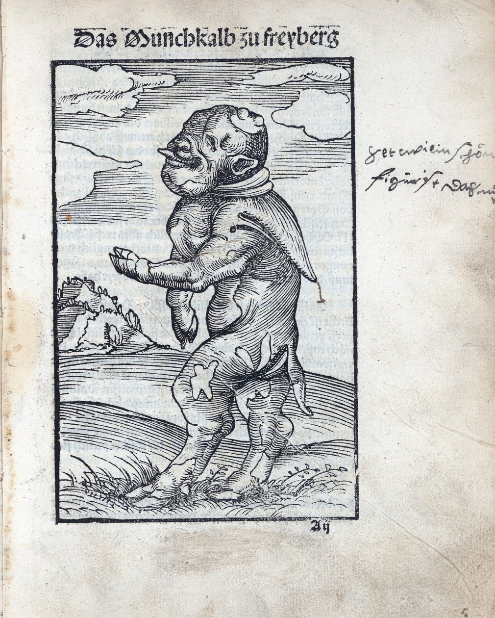 Munkkalven av Freiberg (Das Moenchkalb zu Freiberg), av Cranach, Lucas, den äldre (1472-1553). träsnitt av Lucas the Elder Cranach