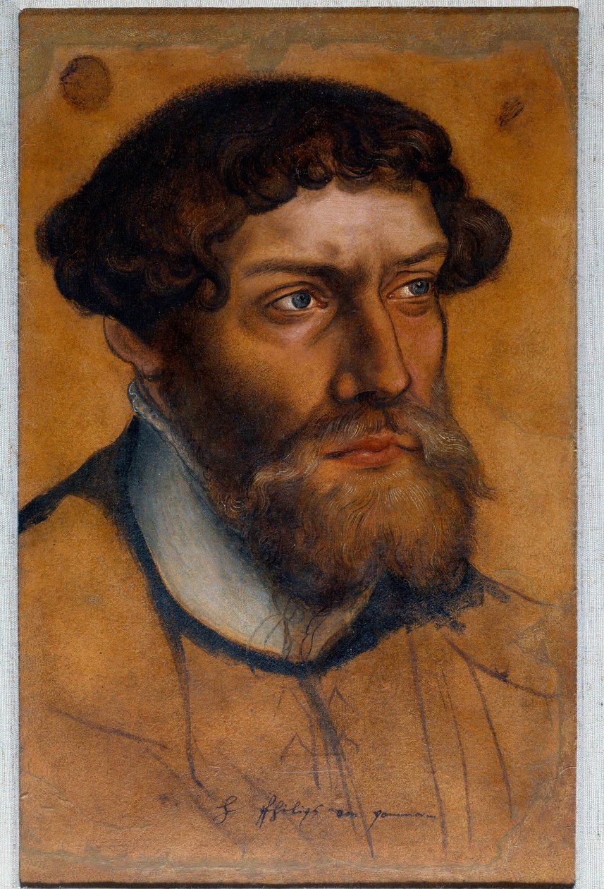 Porträtt av Filip I av Pommern, Reformens prins Ritningspastell av Lucas Cranach den gamle (eller den äldre) av Lucas the Elder Cranach