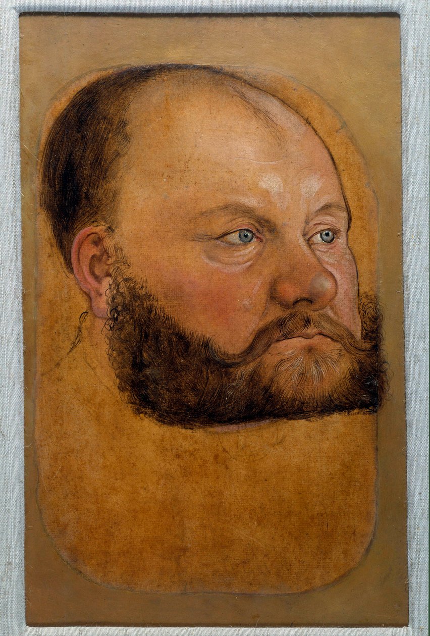 Porträtt av prins Wolf Anhalt av Sachsen, prins av reformen Pastellteckning av Lucas Cranach den gamle (eller den äldre) av Lucas the Elder Cranach