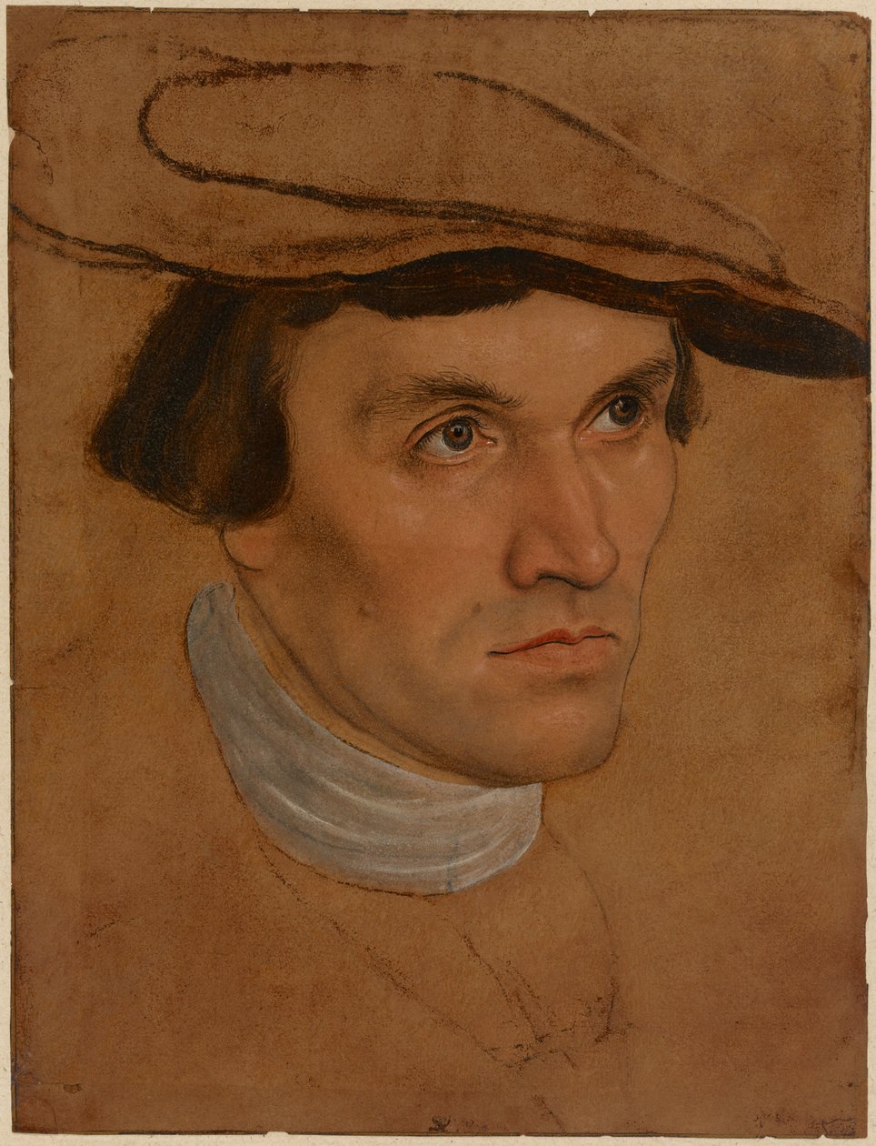 Porträtt av en man, ca 1530 (olja på papper) av Lucas the Elder Cranach