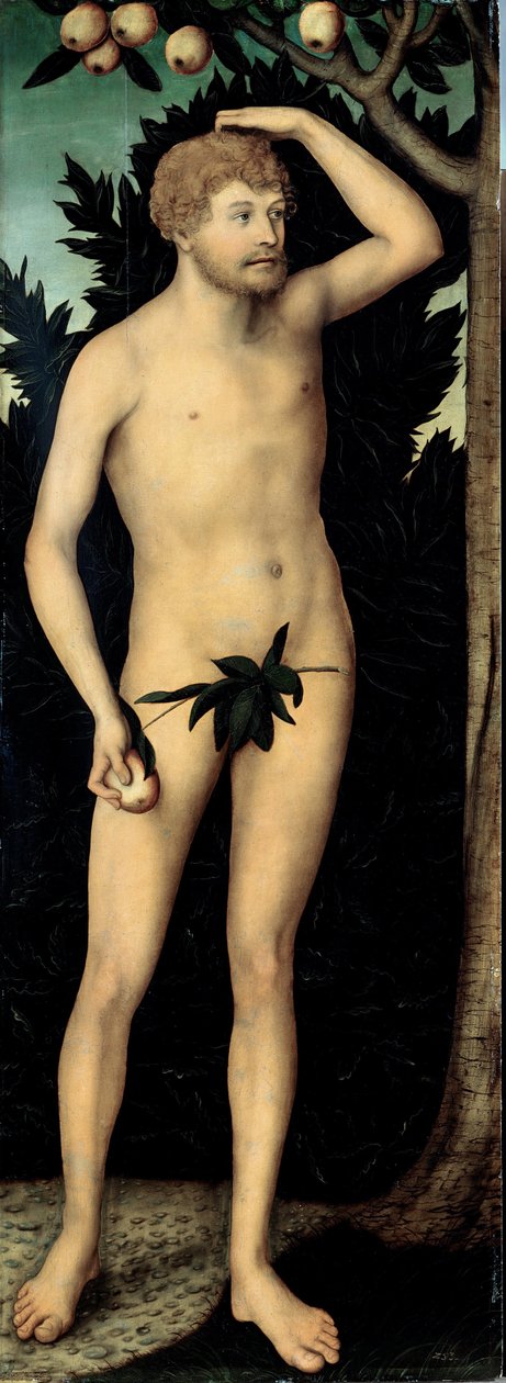 ""Adam"" Målning av Lucas Cranach II den yngre (1515-1586) Efter 1537 Dim 171 x 63 cm Tyskland Dresdens statliga konstsamlingar av Lucas the Younger Cranach