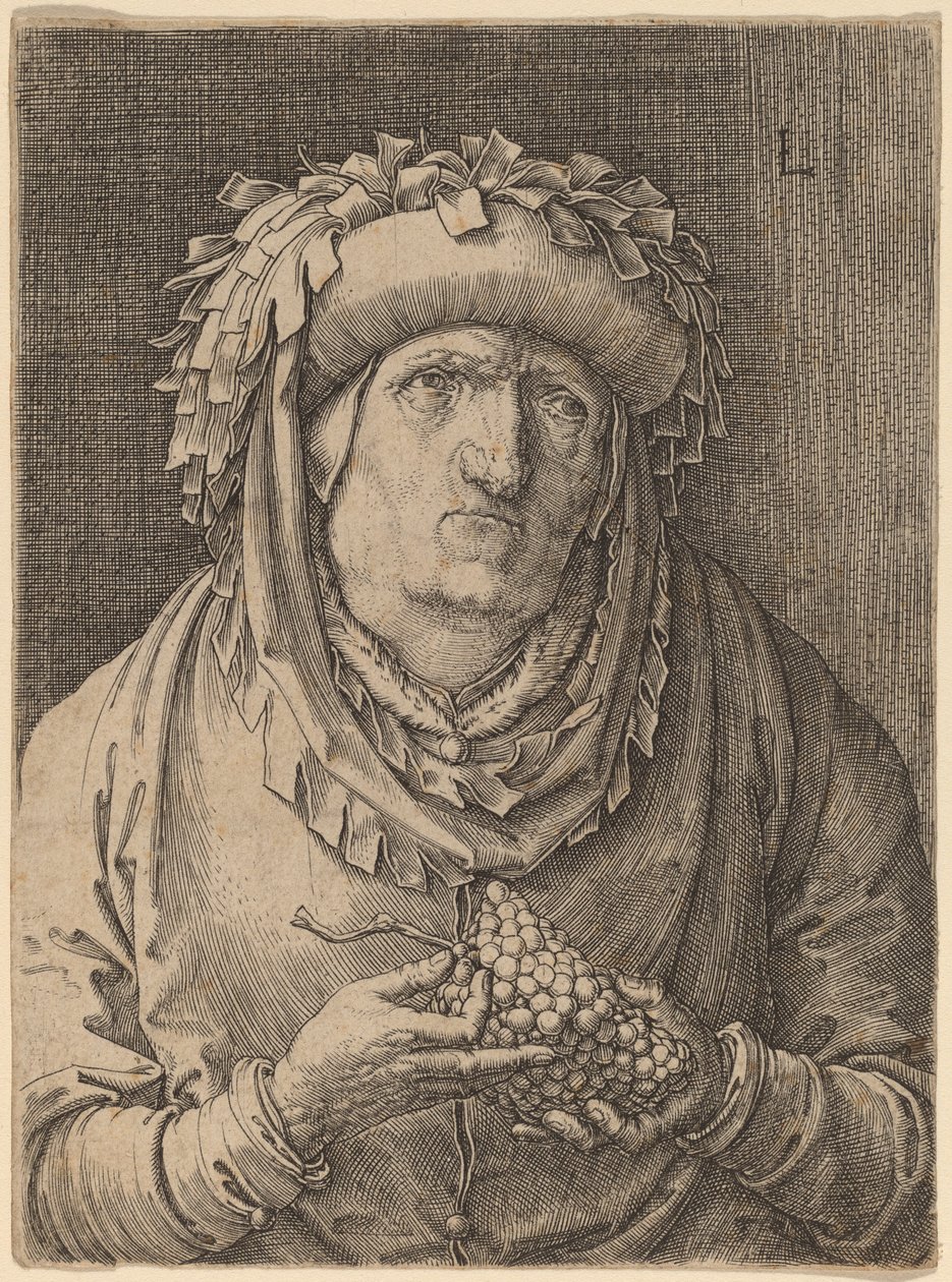 Den gamla kvinnan med druvor av Lucas van Leyden