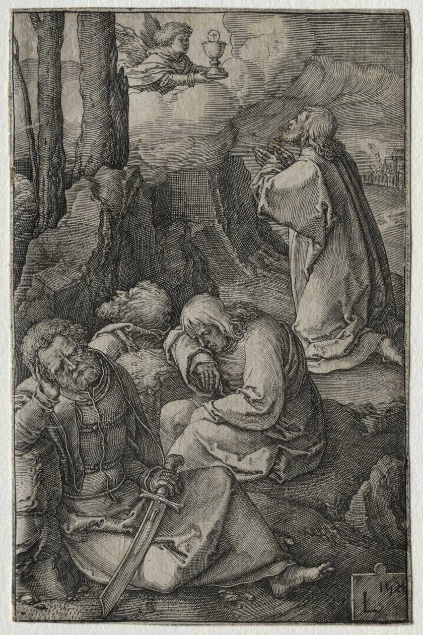 Passionen: ångesten i trädgården av Lucas van Leyden