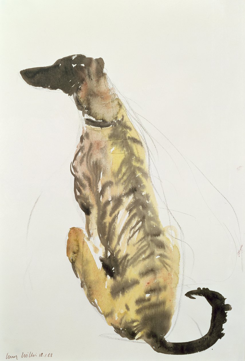 Lurcher Sitting, 1988 (kol och wc på papper) av Lucy Willis