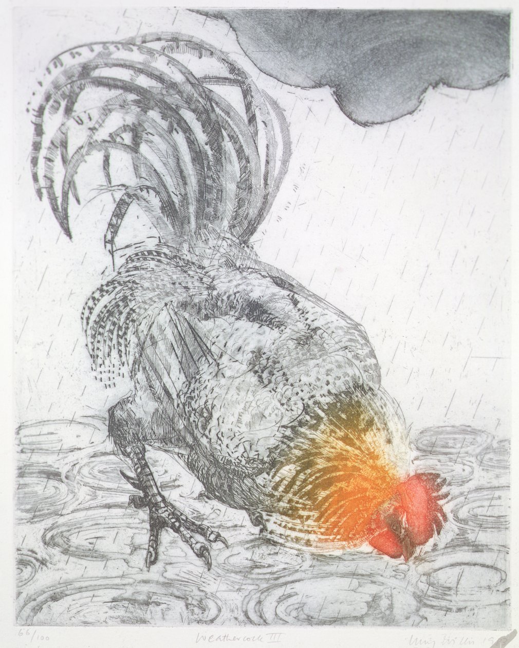 Weathercock II, 1983 (etsning på papper) av Lucy Willis