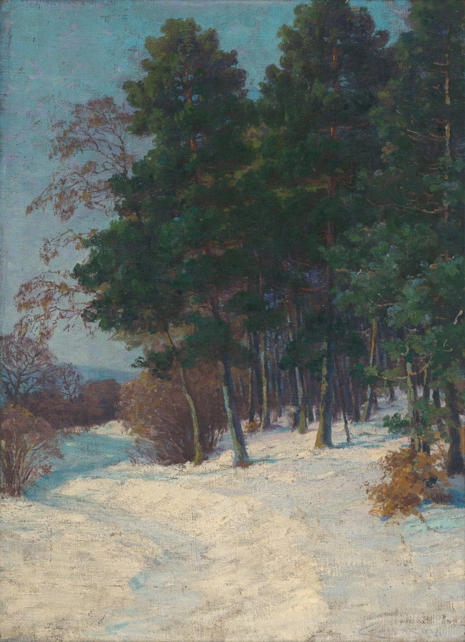 Skog på vintern av Ludovit Cordak
