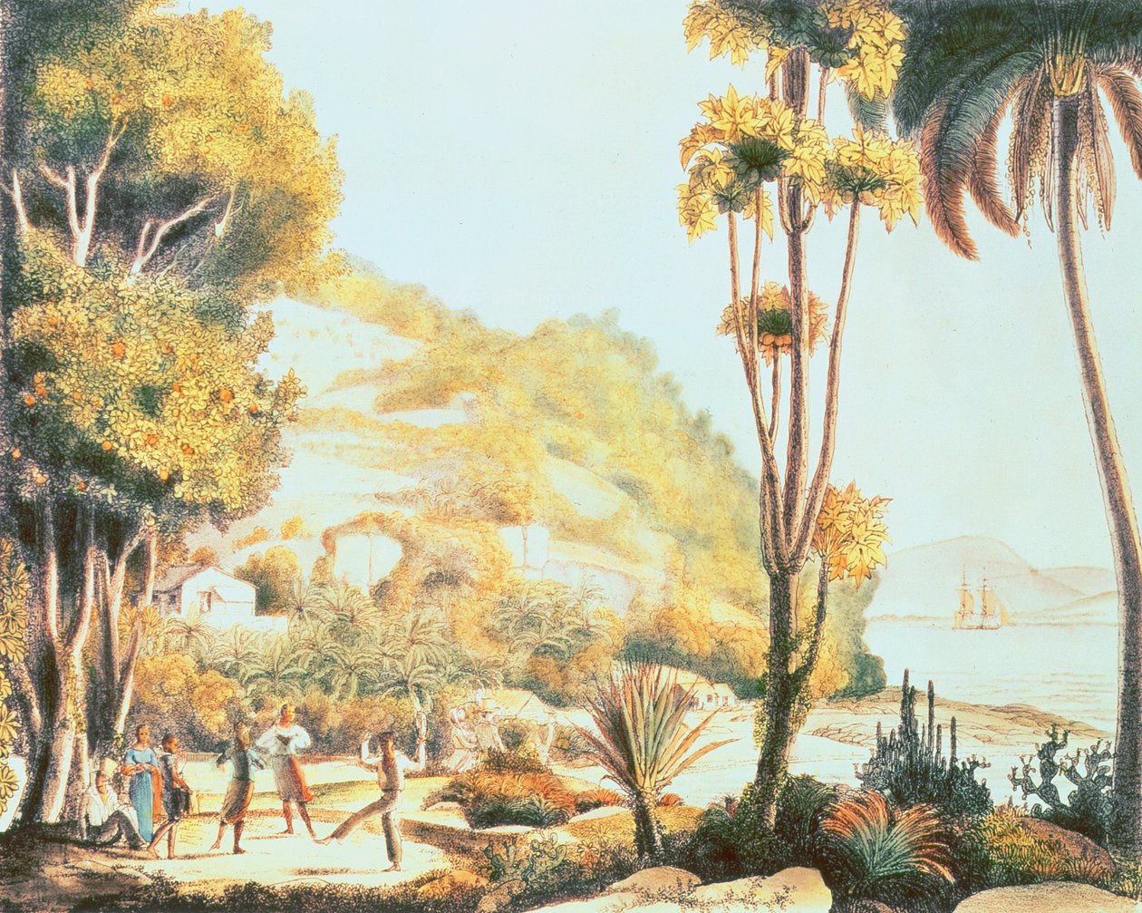 Utsikt över Brasiliens kust mittemot ön Santa Catarina, c.1825 av Ludwig Choris
