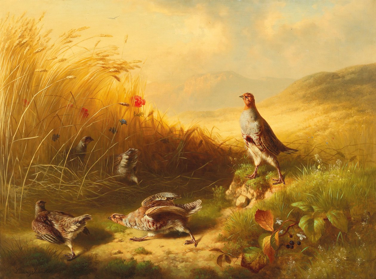 Partridge with Fledglings on the Mountain Pastures av Ludwig Schuster