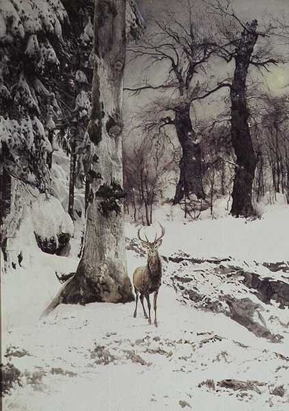 En hjort i en snöig skog av Ludwig Fromme