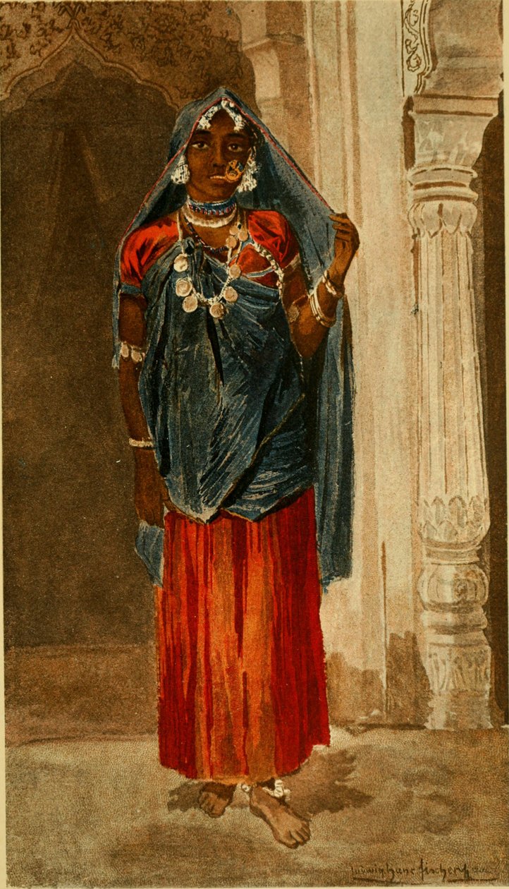 Annaler från Naturhistoriska museet i Wien (1890) (18013829859) av Ludwig Hans Fischer