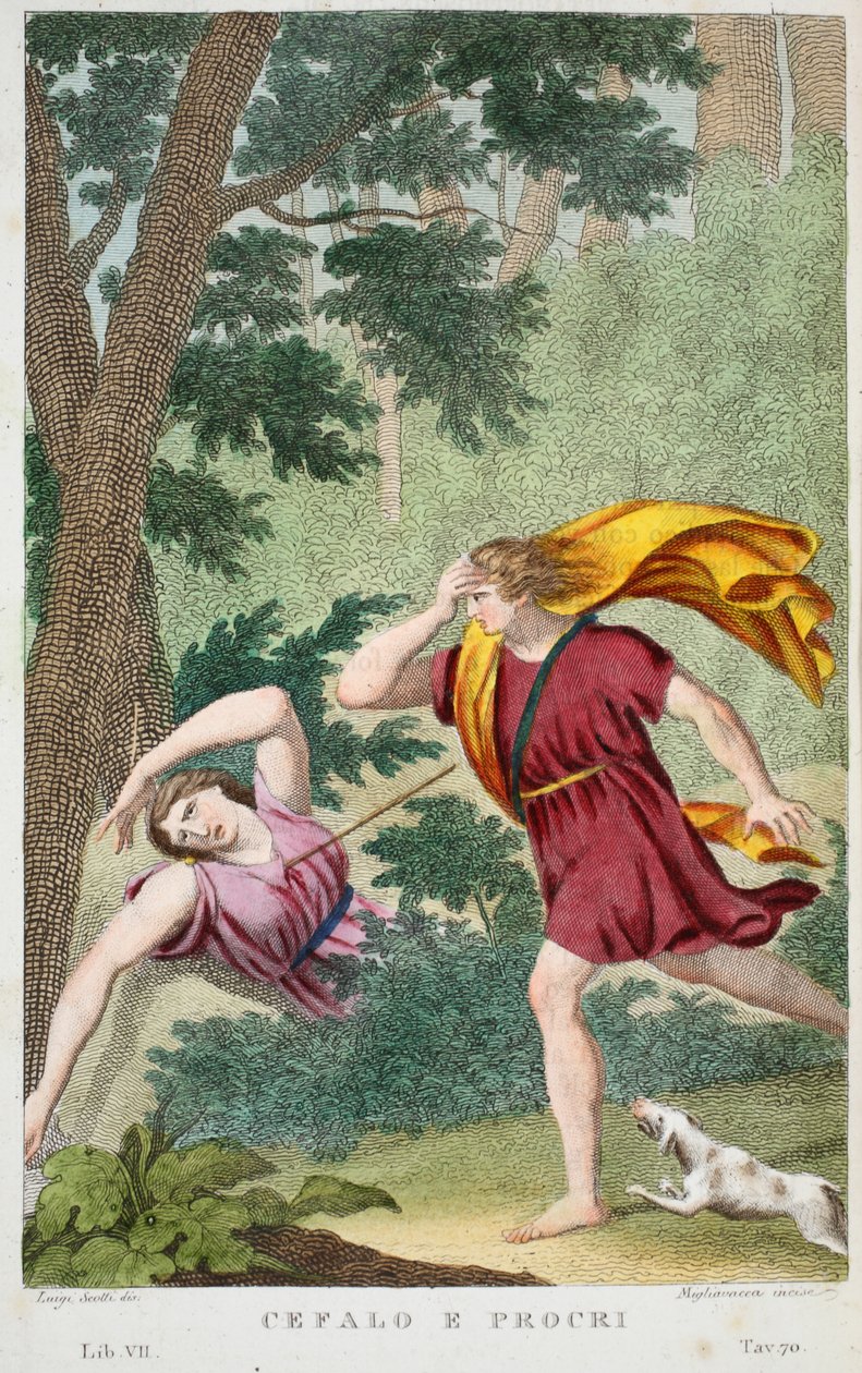 Cephalus och Procris eller Cefalo e Procri, bok VII, illustration från Ovidius Metamorfoser, Florens, 1832 (handkolorerat gravyr) av Luigi Ademollo