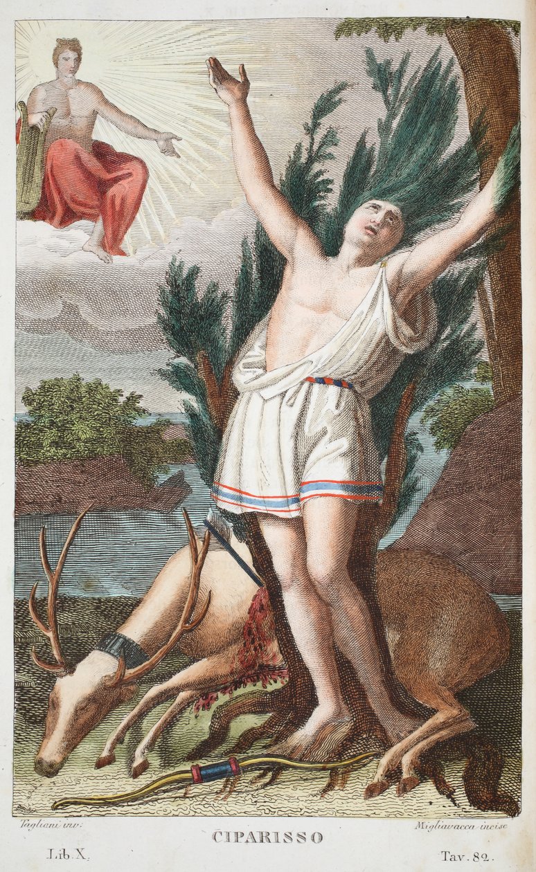 Cyparissus in i ett träd eller Ciparisso, bok X, illustration från Ovidius