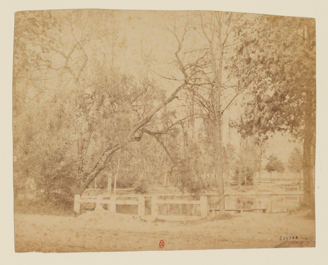 View 3 - Jardin non identifié, Iran av Luigi Pesce