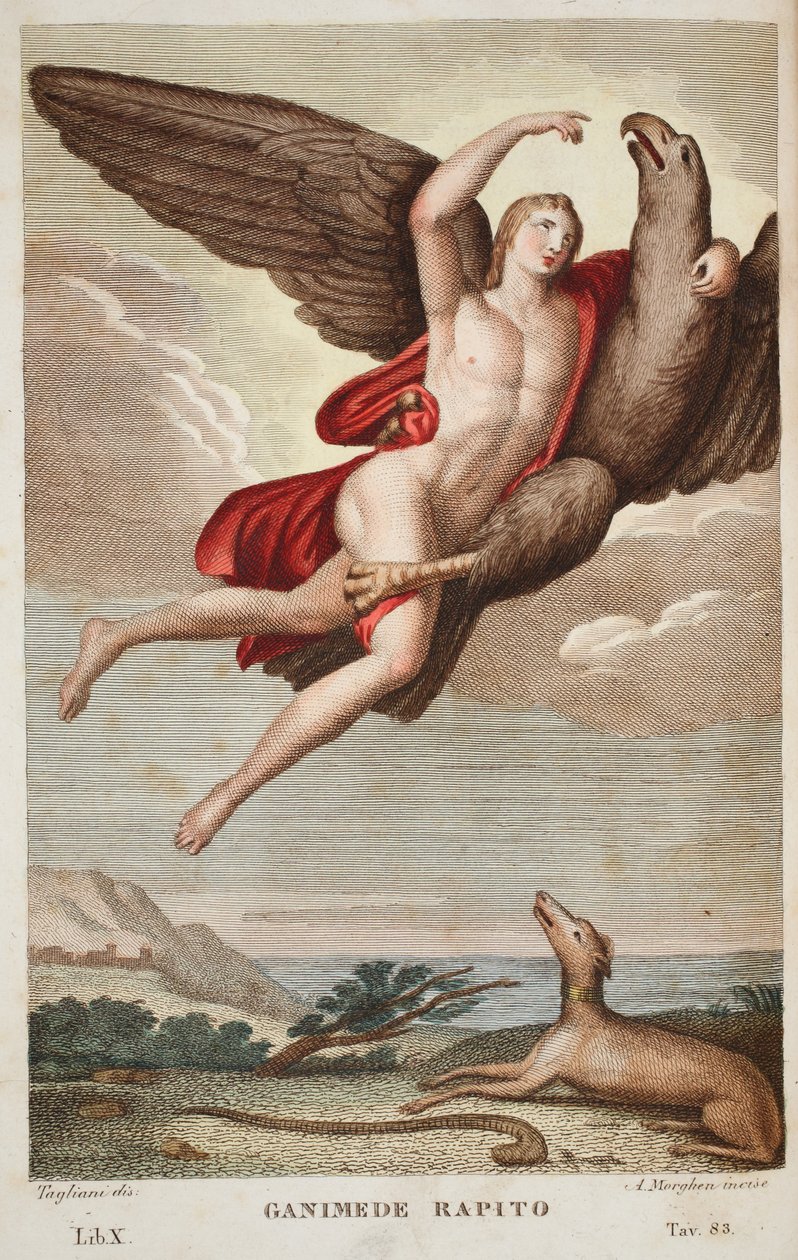 Ganymedes bars in i himlen eller Ganimede Rapito, Bok X, illustration från Ovidius